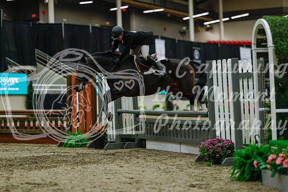 2025 - Haylee - Royal West - Saturday October 18th - 04185