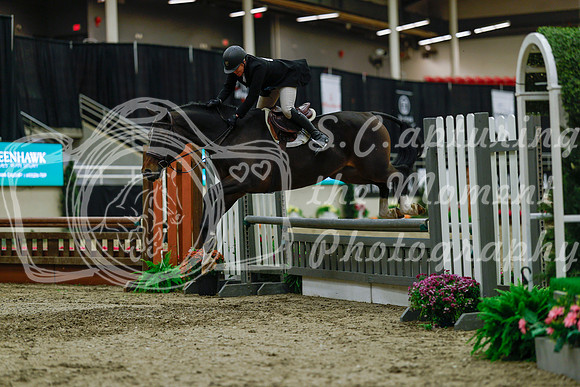2025 - Haylee - Royal West - Saturday October 18th - 04186