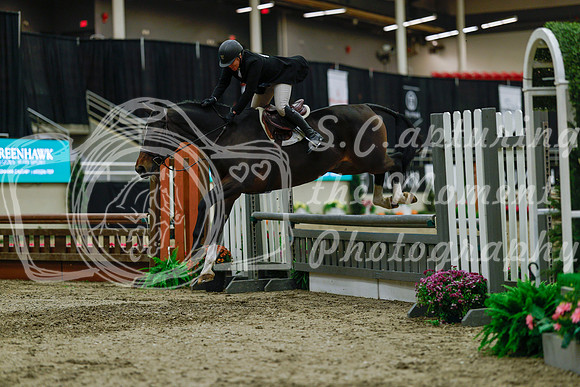 2025 - Haylee - Royal West - Saturday October 18th - 04187