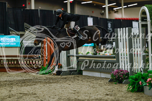 2025 - Haylee - Royal West - Saturday October 18th - 04188