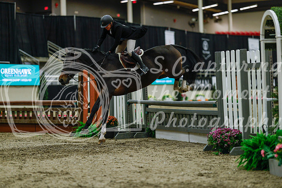 2025 - Haylee - Royal West - Saturday October 18th - 04189