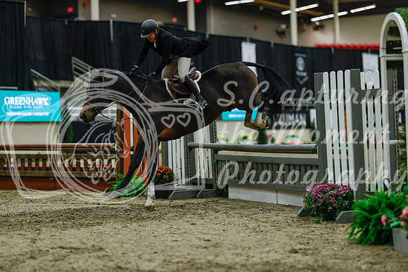 2025 - Haylee - Royal West - Saturday October 18th - 04190