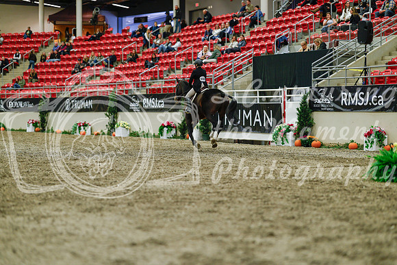2025 - Haylee - Royal West - Saturday October 18th - 04191