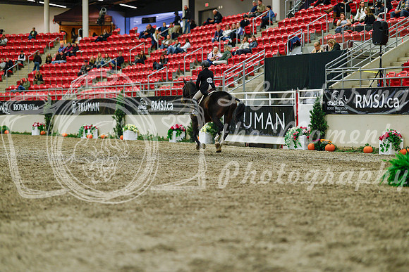 2025 - Haylee - Royal West - Saturday October 18th - 04192