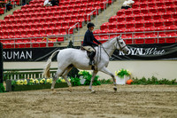 2025 - Haylee - Royal West - Saturday October 18th - 03907