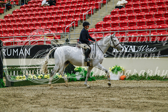 2025 - Haylee - Royal West - Saturday October 18th - 03907