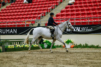 2025 - Haylee - Royal West - Saturday October 18th - 03908