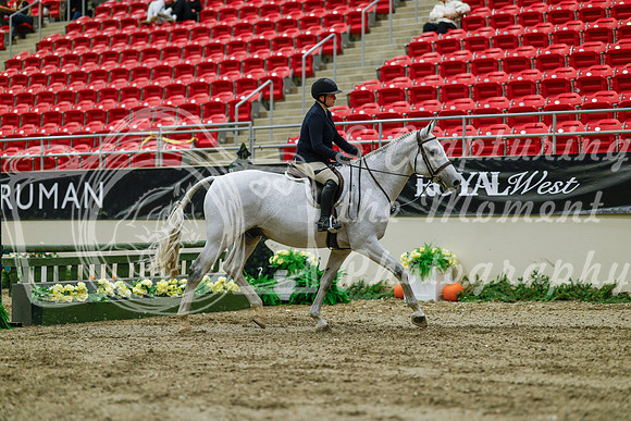 2025 - Haylee - Royal West - Saturday October 18th - 03908