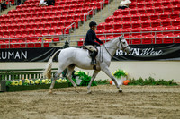 2025 - Haylee - Royal West - Saturday October 18th - 03909