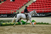 2025 - Haylee - Royal West - Saturday October 18th - 03910