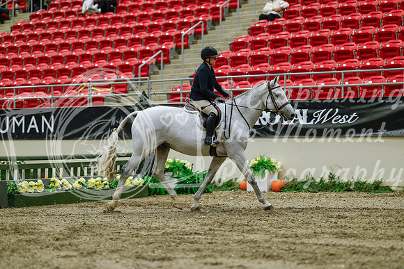 2025 - Haylee - Royal West - Saturday October 18th - 03910