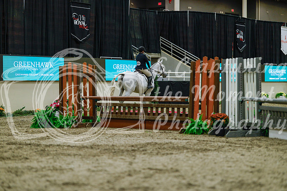 2025 - Haylee - Royal West - Saturday October 18th - 03913