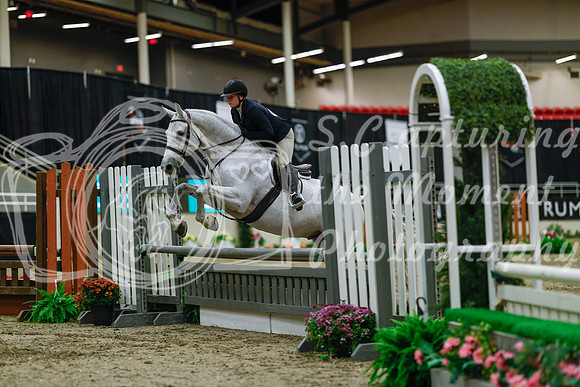 2025 - Haylee - Royal West - Saturday October 18th - 03914
