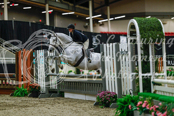 2025 - Haylee - Royal West - Saturday October 18th - 03915