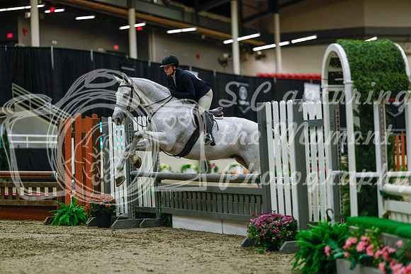 2025 - Haylee - Royal West - Saturday October 18th - 03917