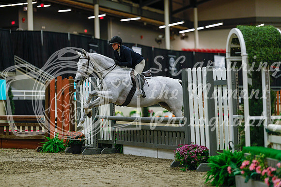 2025 - Haylee - Royal West - Saturday October 18th - 03918