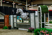2025 - Haylee - Royal West - Saturday October 18th - 04020