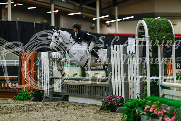 2025 - Haylee - Royal West - Saturday October 18th - 04022