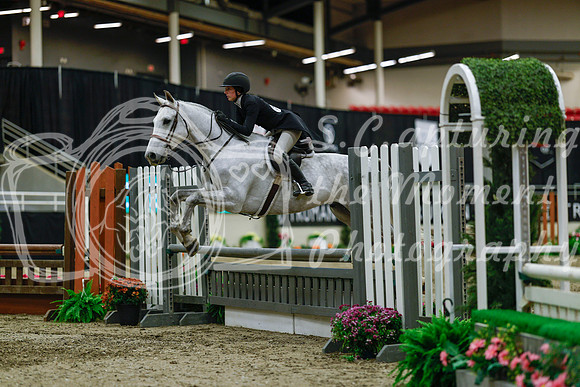 2025 - Haylee - Royal West - Saturday October 18th - 04023