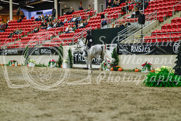 2025 - Haylee - Royal West - Saturday October 18th - 04024