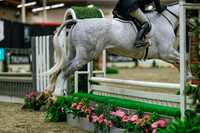 2025 - Haylee - Royal West - Saturday October 18th - 04026