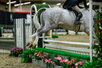 2025 - Haylee - Royal West - Saturday October 18th - 04028