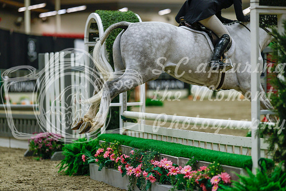 2025 - Haylee - Royal West - Saturday October 18th - 04028