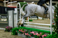 2025 - Haylee - Royal West - Saturday October 18th - 04029