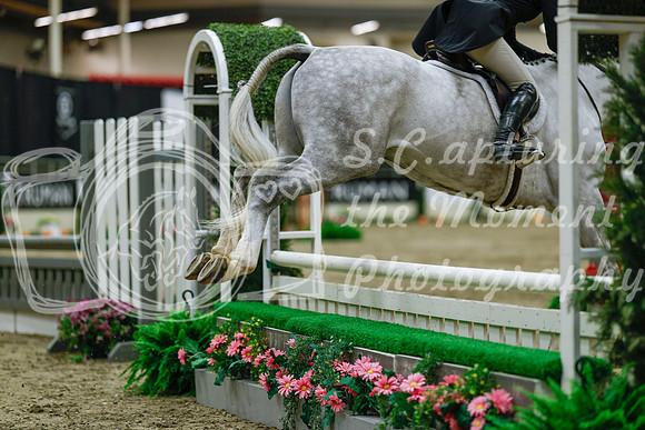 2025 - Haylee - Royal West - Saturday October 18th - 04029