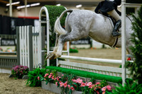 2025 - Haylee - Royal West - Saturday October 18th - 04030