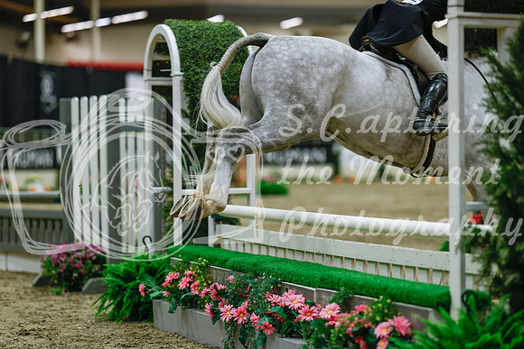 2025 - Haylee - Royal West - Saturday October 18th - 04030