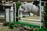 2025 - Haylee - Royal West - Saturday October 18th - 04031