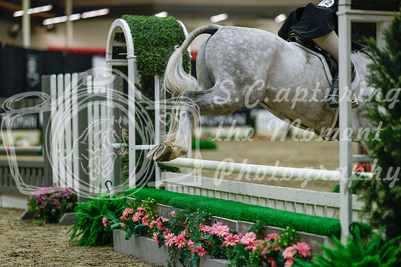 2025 - Haylee - Royal West - Saturday October 18th - 04031