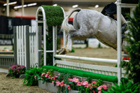 2025 - Haylee - Royal West - Saturday October 18th - 04032