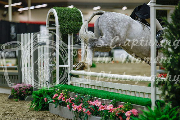2025 - Haylee - Royal West - Saturday October 18th - 04032