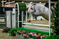 2025 - Haylee - Royal West - Saturday October 18th - 04033