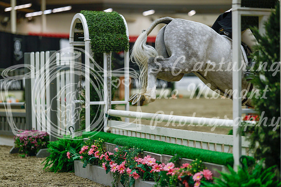 2025 - Haylee - Royal West - Saturday October 18th - 04033