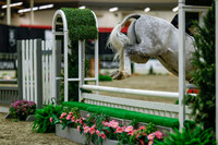 2025 - Haylee - Royal West - Saturday October 18th - 04034