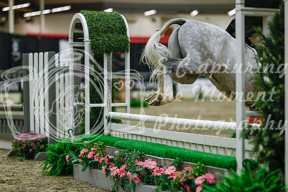 2025 - Haylee - Royal West - Saturday October 18th - 04034