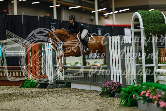 2025 - Haylee - Royal West - Saturday October 18th - 04366