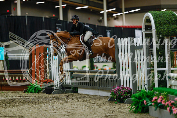 2025 - Haylee - Royal West - Saturday October 18th - 04367
