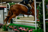 2025 - Haylee - Royal West - Saturday October 18th - 04371