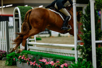 2025 - Haylee - Royal West - Saturday October 18th - 04372