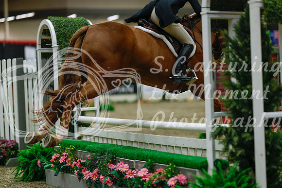 2025 - Haylee - Royal West - Saturday October 18th - 04372