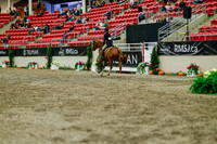 2025 - Haylee - Royal West - Saturday October 18th - 04370