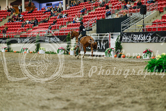 2025 - Haylee - Royal West - Saturday October 18th - 04370
