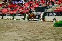 2025 - Haylee - Royal West - Saturday October 18th - 04369