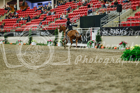2025 - Haylee - Royal West - Saturday October 18th - 04369