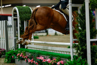2025 - Haylee - Royal West - Saturday October 18th - 04374