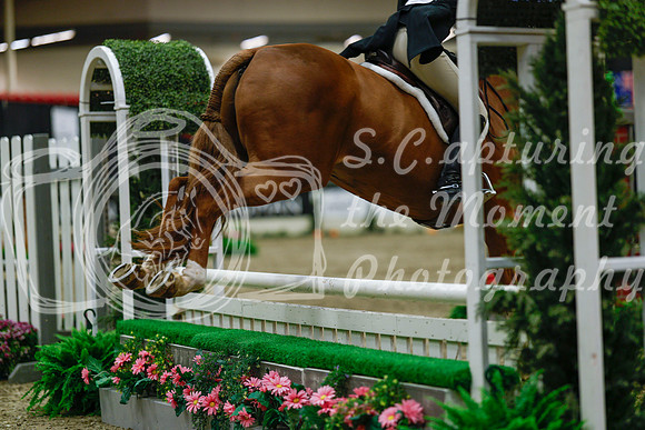 2025 - Haylee - Royal West - Saturday October 18th - 04374